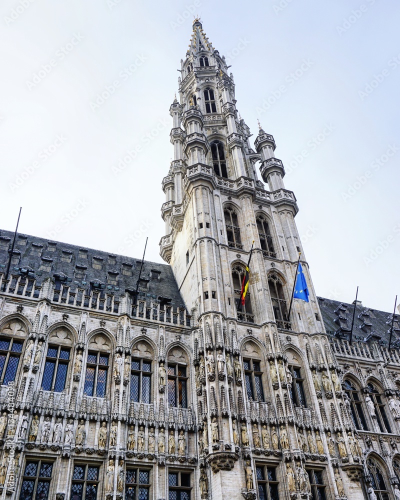 Fototapeta premium Haus, Rathaus in Belgien