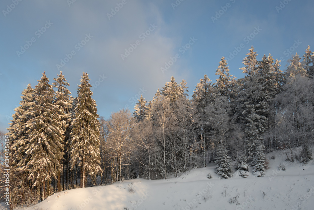 Winter im Sauerland Winter im Sauerland