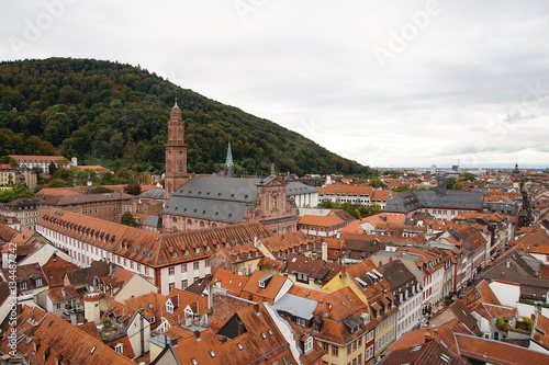 Ausblick auf die Universität  und die Dächer von Heidelberg 