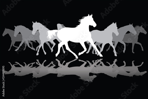 White Trotting horses silhouette on black background