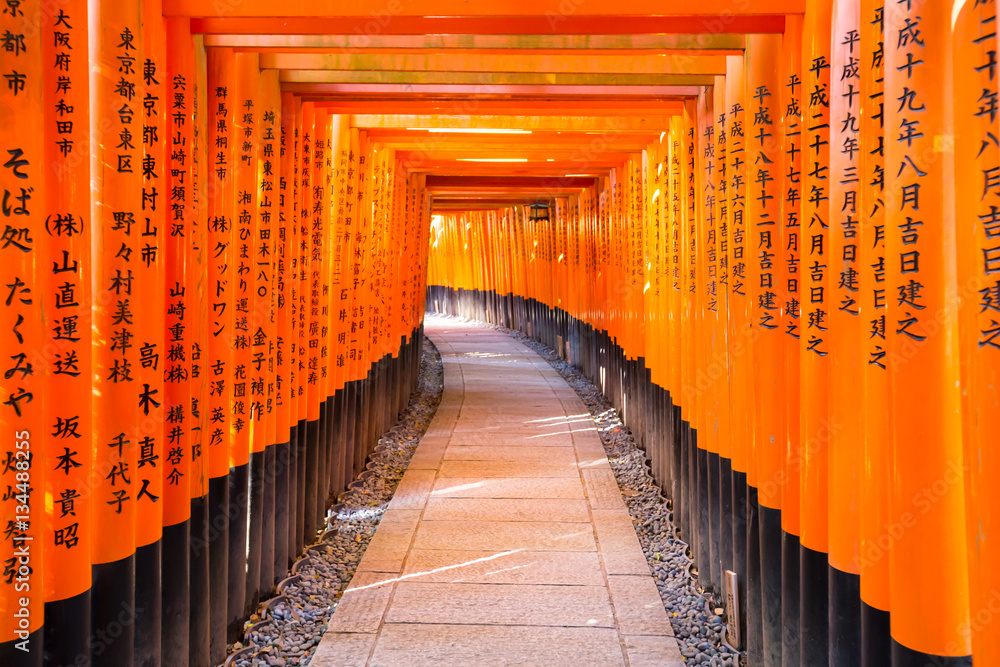 Torii gates in Fushimi Inari Shrine, Kyoto, Japan Torii gates in Fushimi Inari Shrine, Kyoto, Japan