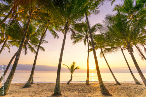 Sunrise over the ocean at Palm Cove in Tropical North Queensland  Australia