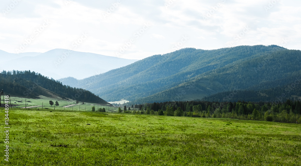 Green meadow at background of mountains and forest