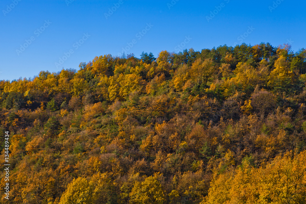 Mountains and autumn forest with oaks and pines between Osona an llucanes. Mountains and autumn forest with oaks and pines between Osona an llucanes.