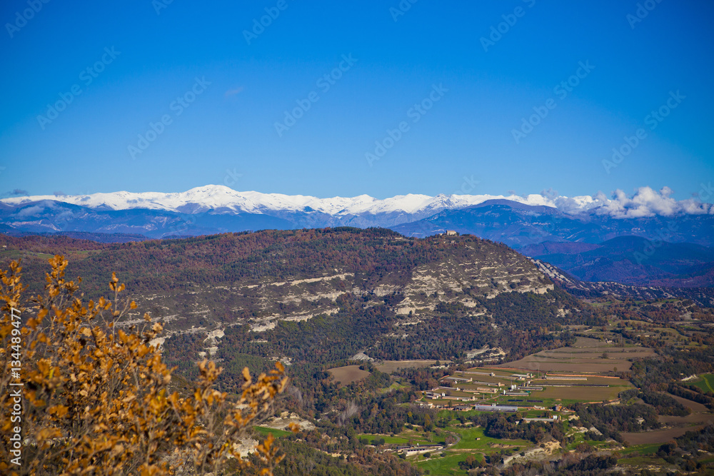 oak and pine forest with a snowed Pyrenean mountains background