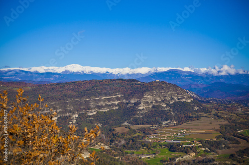 oak and pine forest with a snowed Pyrenean mountains background © Nuaestudio