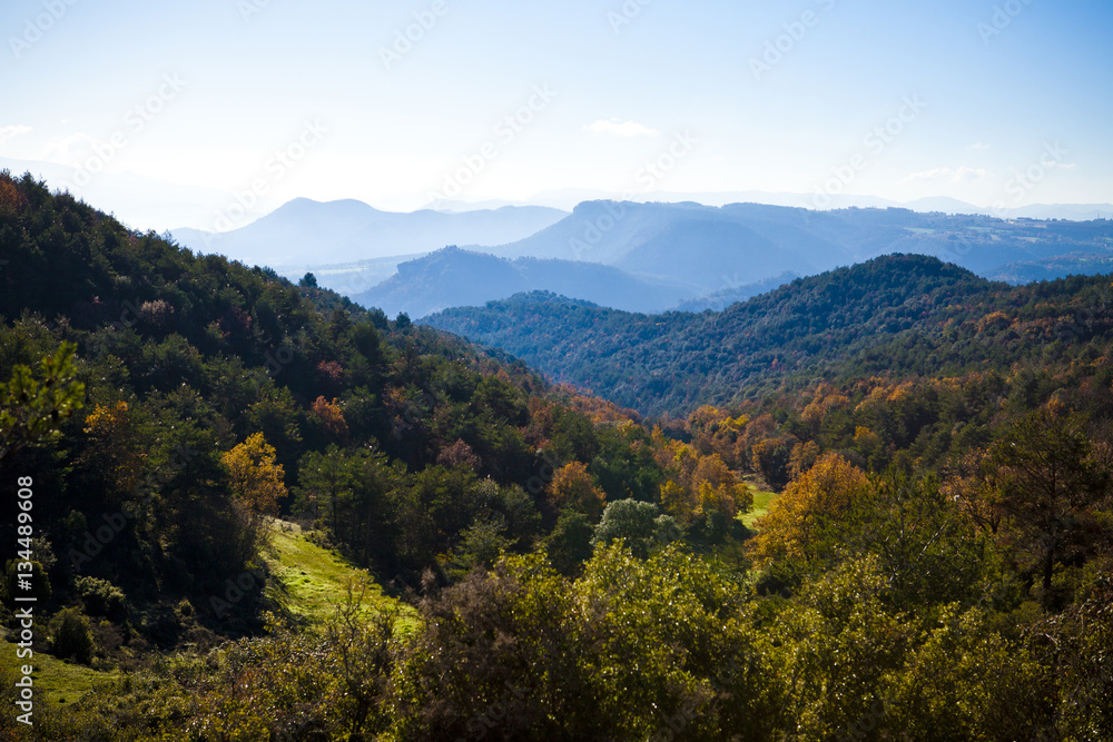 Mountains and autumn forest with oaks and pines between Osona an llucanes. Mountains and autumn forest with oaks and pines between Osona an llucanes.
