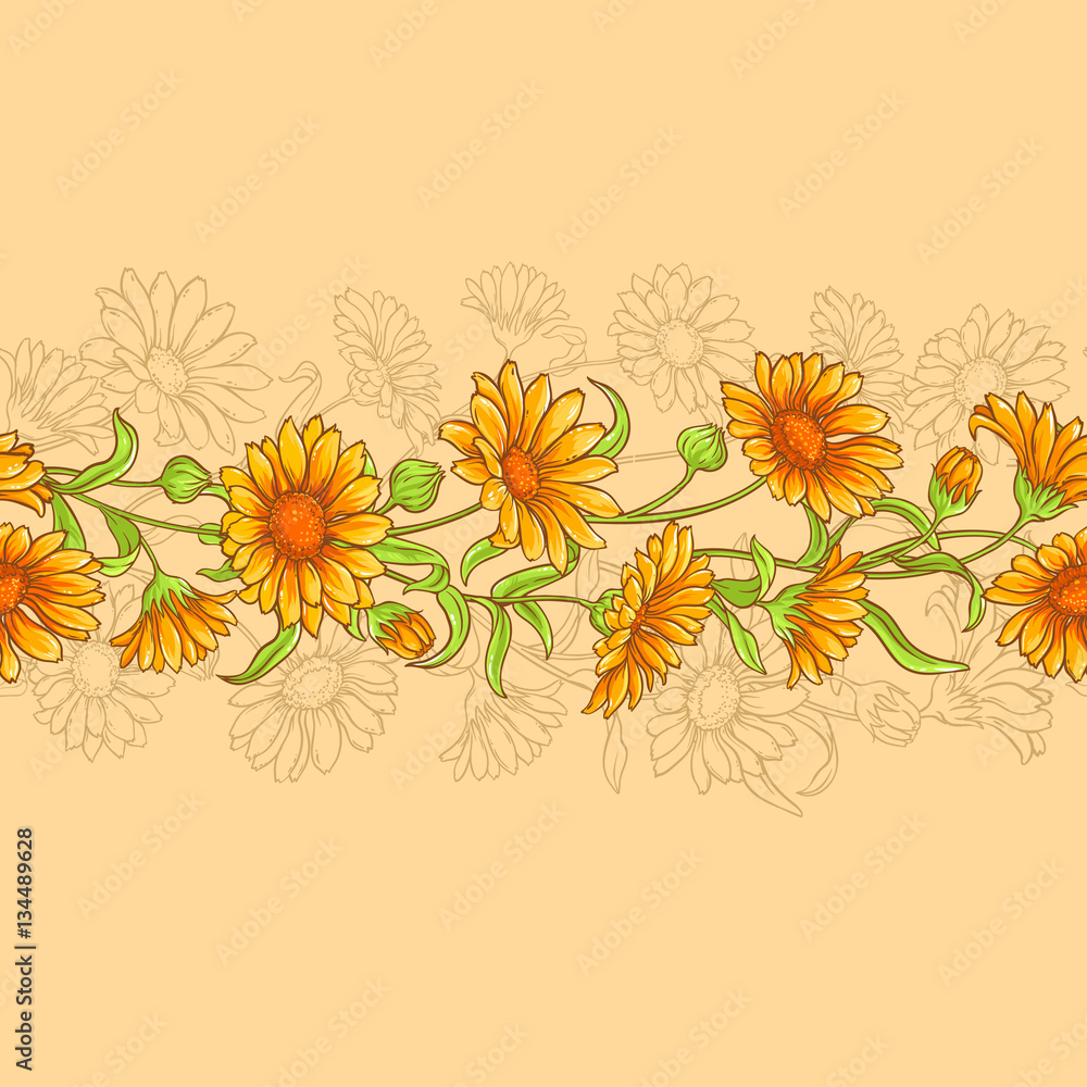 calendula vector seamless pattern