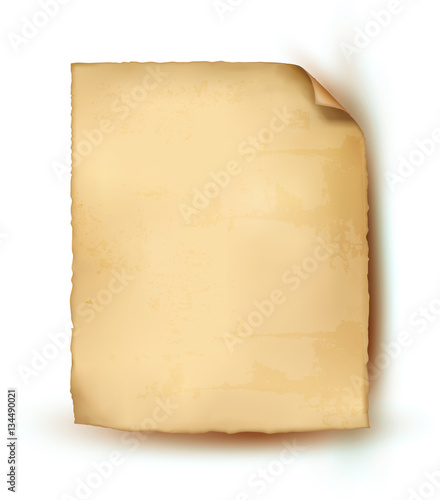 Empty realistic sheet of parchment paper. Vector illustration.