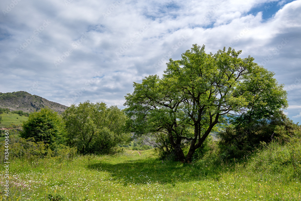 Scenic view of Dagestan