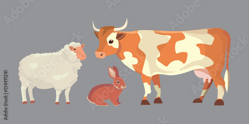 Cartoon Vector Illustration Set of Farm Animals isolated