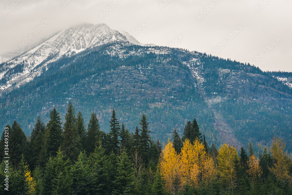 Mountain surrounded by autumn forest.