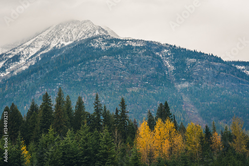 Fototapeta Naklejka Na Ścianę i Meble -  Mountain surrounded by autumn forest.