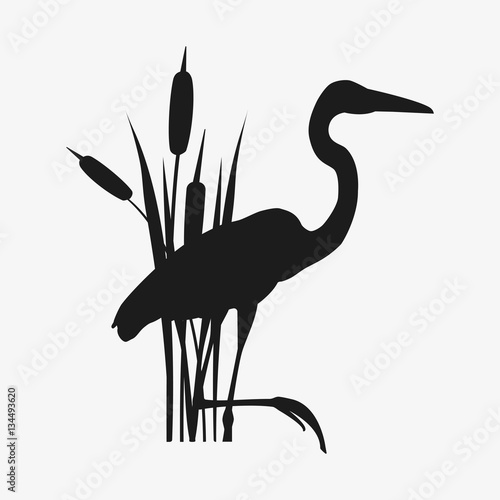 World Wetlands Day