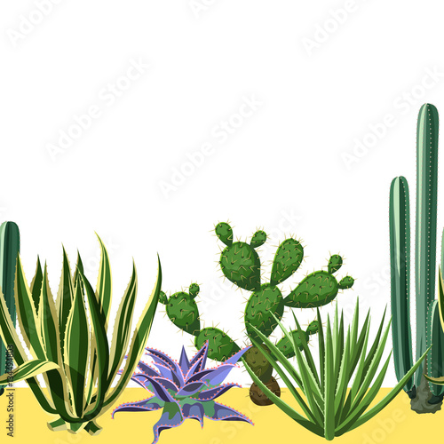 Seamless border with cactuses and succulents set. Plants of desert
