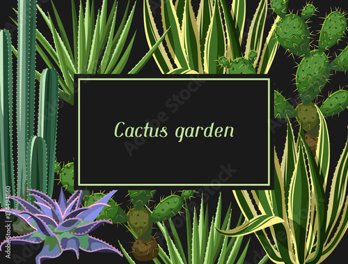 Card with cactuses and succulents set. Plants of desert