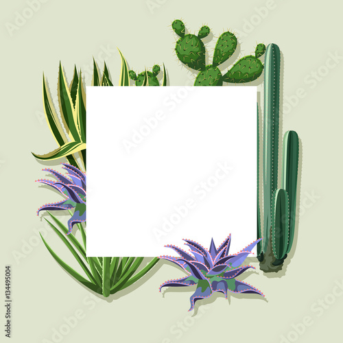 Frame with cactuses and succulents set. Plants of desert