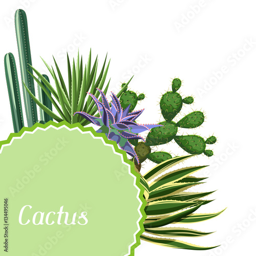 Card with cactuses and succulents set. Plants of desert