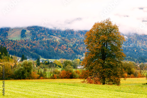 Fototapeta Naklejka Na Ścianę i Meble -  Idyllic landscape in the Alps
