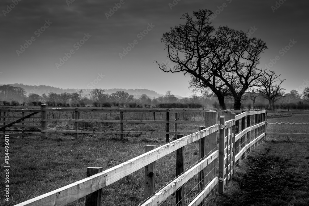 Cheshire farm landscape in black and white