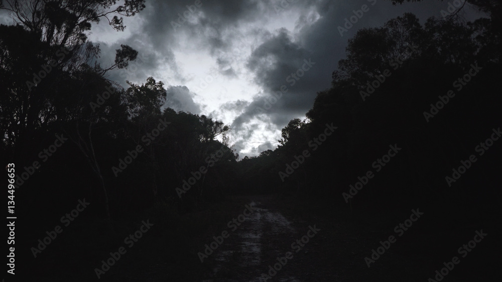 Fototapeta premium Dark Sky