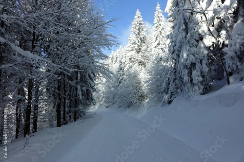 winter im bayerischen wald - sankt englmar photo