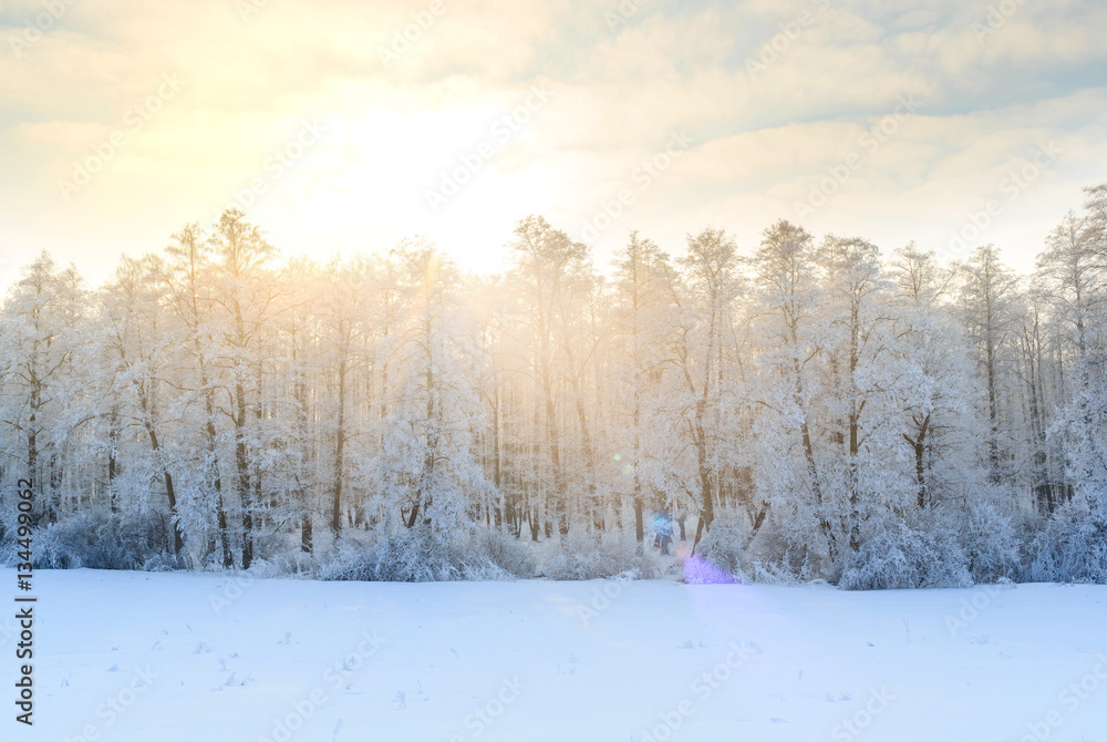 Winter landscape with green fir trees covered with snow and wint Winter landscape with green fir trees covered with snow and wint