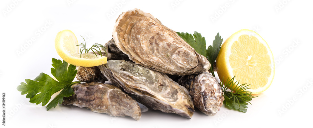 Frische austern StockFoto Adobe Stock