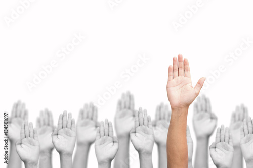 Business crowd raising hands high up on white background. Concept Business / Question / Ask. 