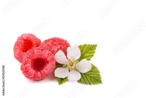 Raspberries, flower and leaves on white, with copyspace
