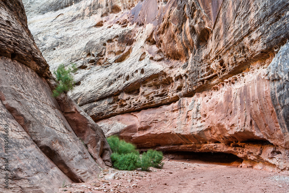 The Narrows at Grand Wash, Capitol Reef Nat'l Park, UT The Narrows at Grand Wash, Capitol Reef Nat'l Park, UT