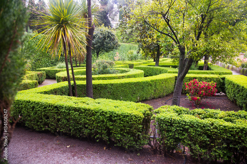  French formal garden photo