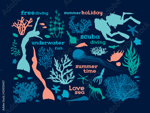 Set of underwater creatures and divers.