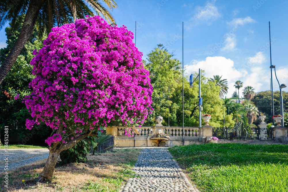 Obraz premium Beautiful garden with palm trees and a fountain in San Remo