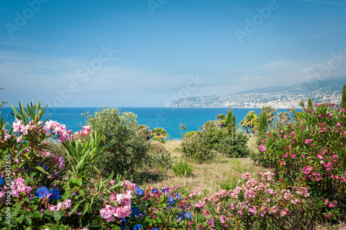 view of the coast of the Ligurian Sea