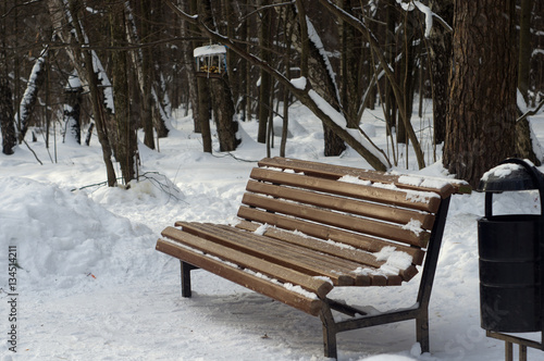 Bench in the winter park