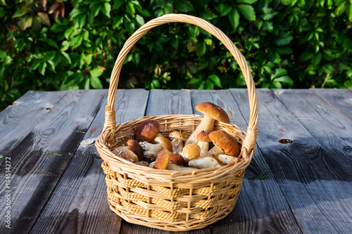 Fresh boletus mushrooms in the basket on wooden table 