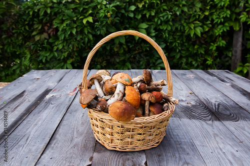 Fresh boletus mushrooms in the basket on wooden table 