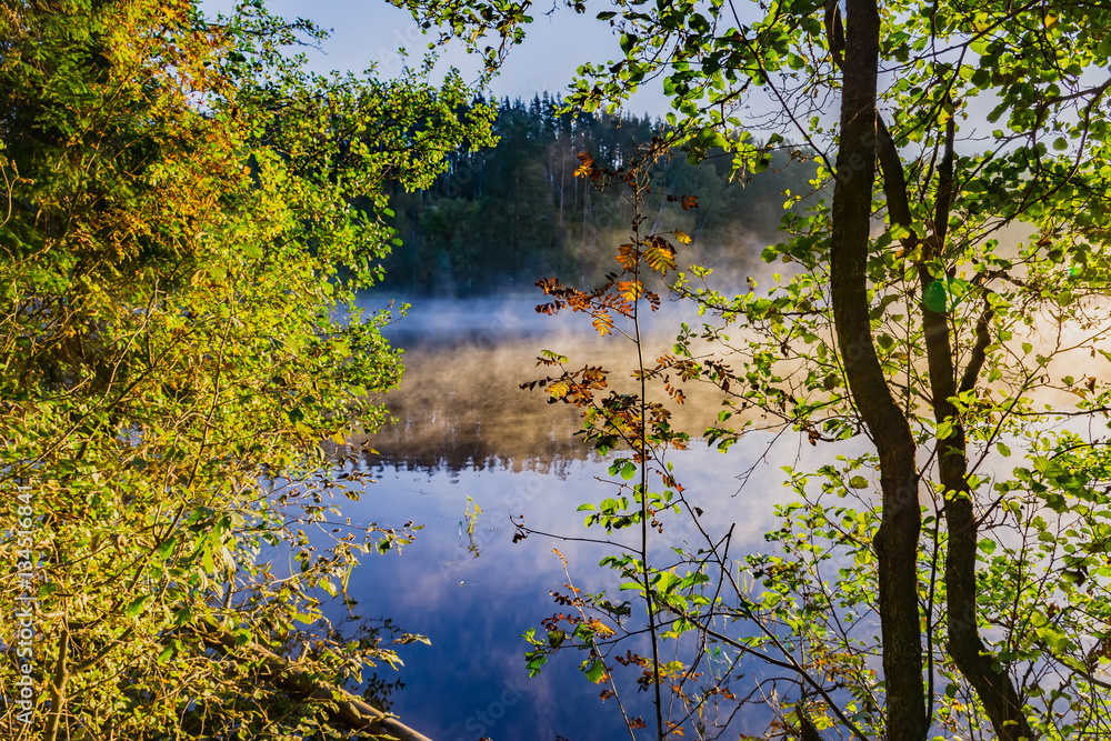Fototapeta premium Morning mist