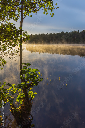 Morning mist