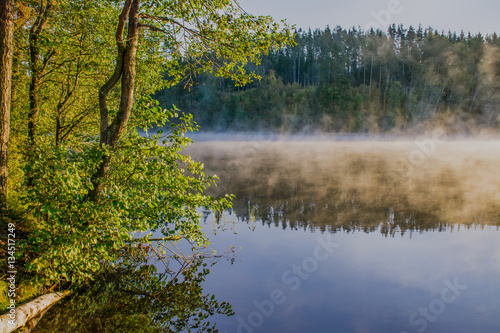 Morning mist © zoya54