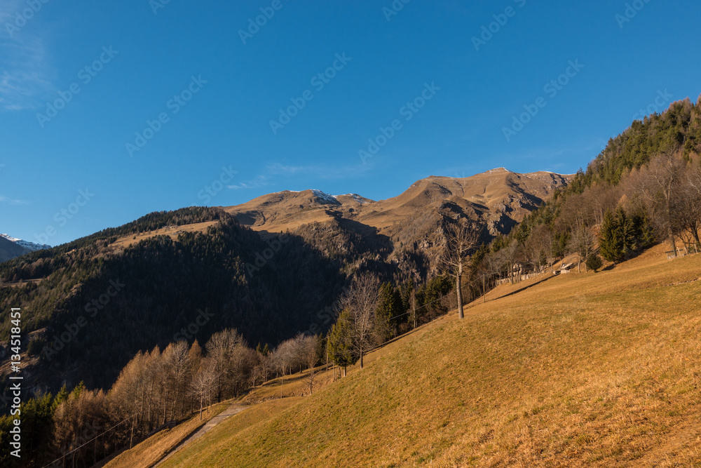 Mountain landscape and forests in autumn