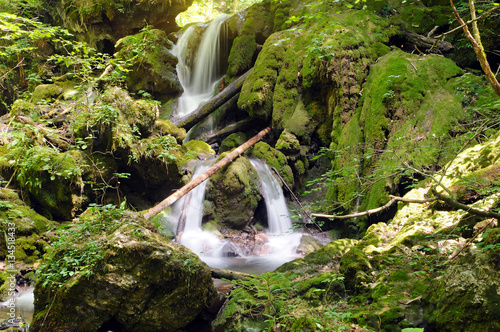 Fotografi Typical cascade waterfall made from tufa with bryophytes (non-vascular land plants)