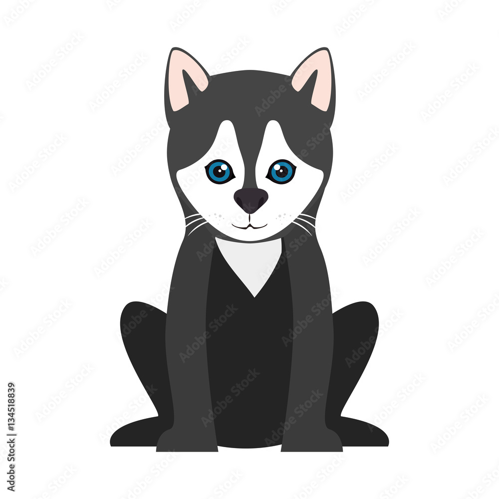 cute dog isolated icon vector illustration design