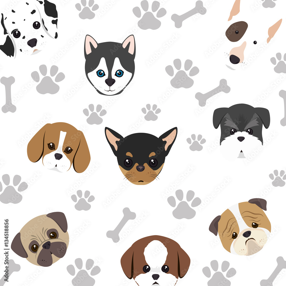 Obraz premium cute dog isolated icon vector illustration design