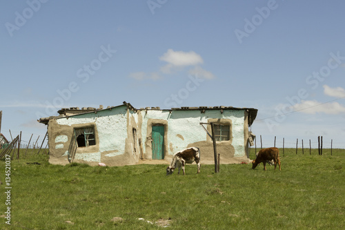 Fototapeta Naklejka Na Ścianę i Meble -  Rural African village house