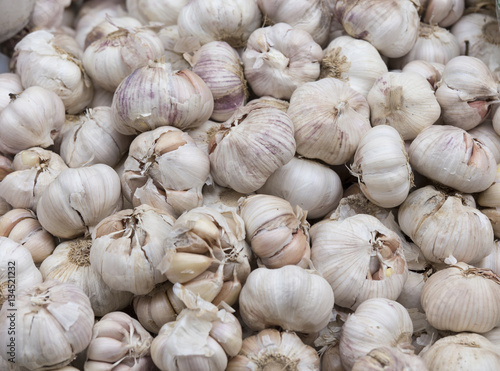 garlic background close up