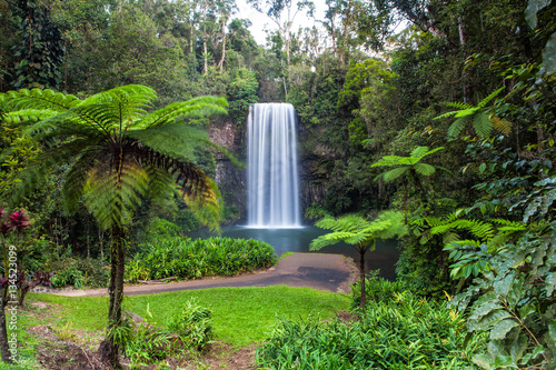 Millaa Millaa Falls in Tropical North Queensland, Australia