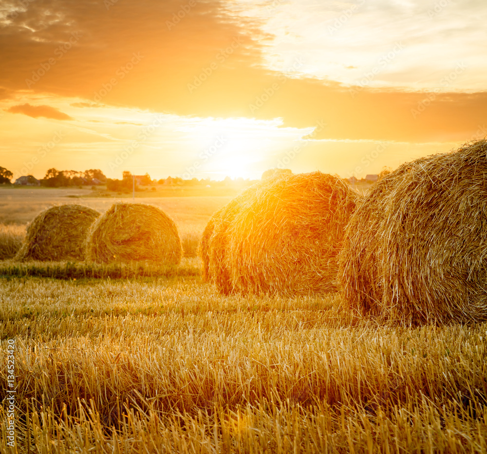 Summer Farm Field with Hay Bales on the Background of Beautiful Sunset.  Agriculture Concept. Haystack Scenery. Toned and Filtered Photo with Copy  Space. Stock Photo | Adobe Stock