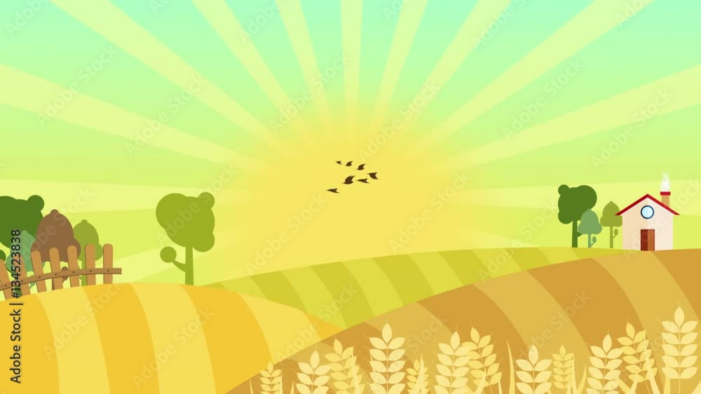 Nice cartoon animation of colorful farm Background seamless loop with space for your text or logo. wheat filed over sunburst full hd and 4k. illustration of a beautiful autumn scene with wheat fields